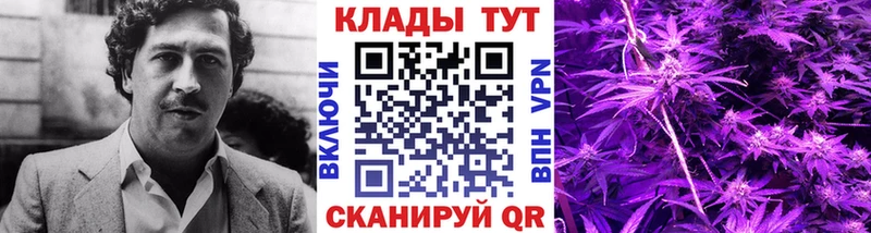 Купить наркотики сайты Пионерский Галлюциногенные грибы  АМФЕТАМИН  Меф  Героин  Гашиш 
