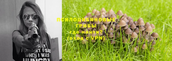 соль курить ск Белокуриха
