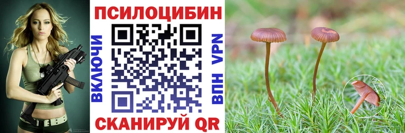 продажа наркотиков Пионерский Галлюциногенные грибы мицелий