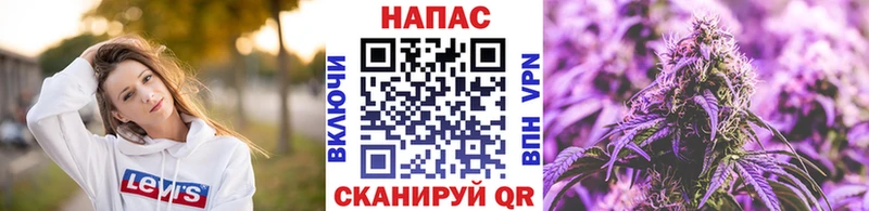 МЕГА маркетплейс  продажа наркотиков  Пионерский  Каннабис сатива 